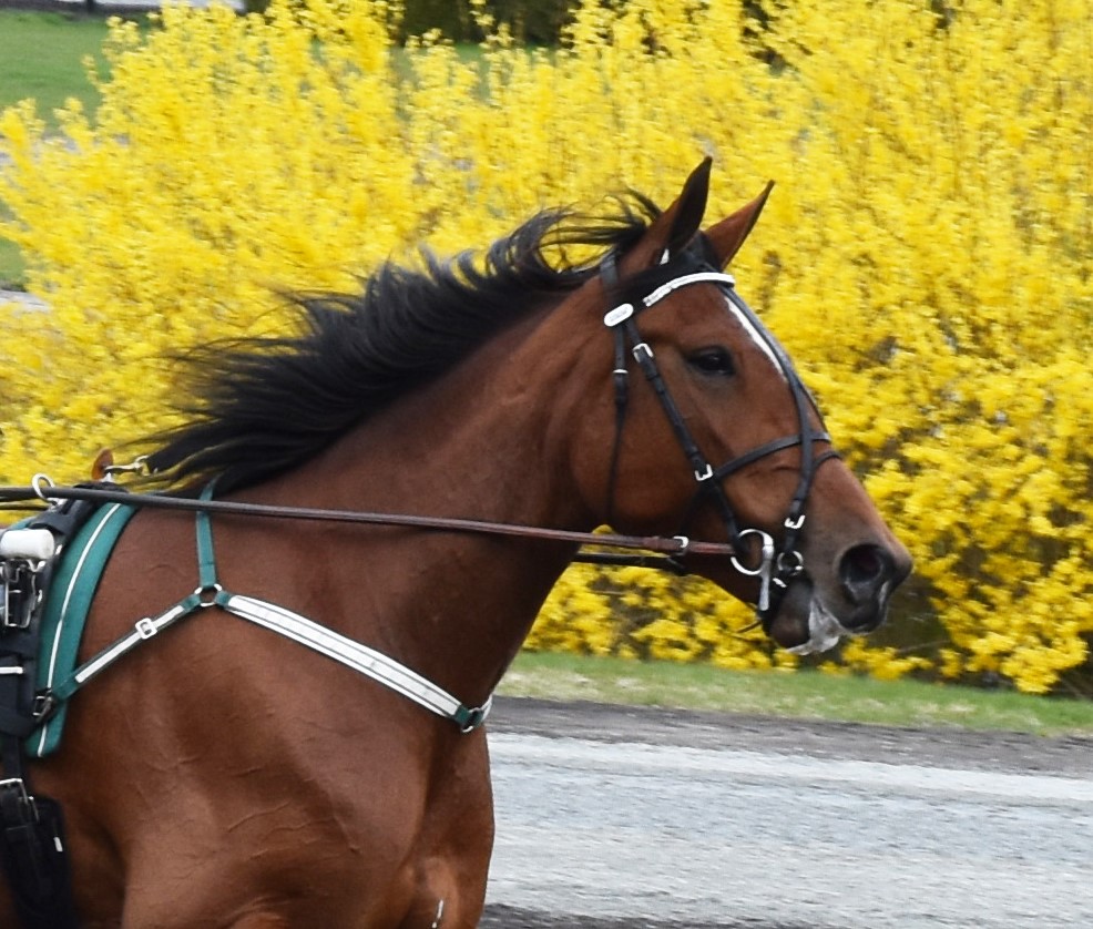 Futurity 230505-8